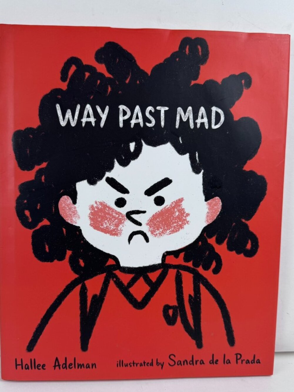 Way Past Mad Hallee Adelman Emotions Feelings Kids Picture Book 9780807586853